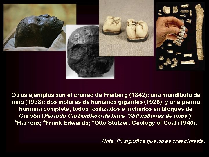 Otros ejemplos son el cráneo de Freiberg (1842); una mandíbula de niño (1958); dos