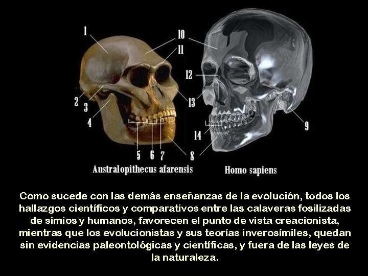 Como sucede con las demás enseñanzas de la evolución, todos los hallazgos científicos y
