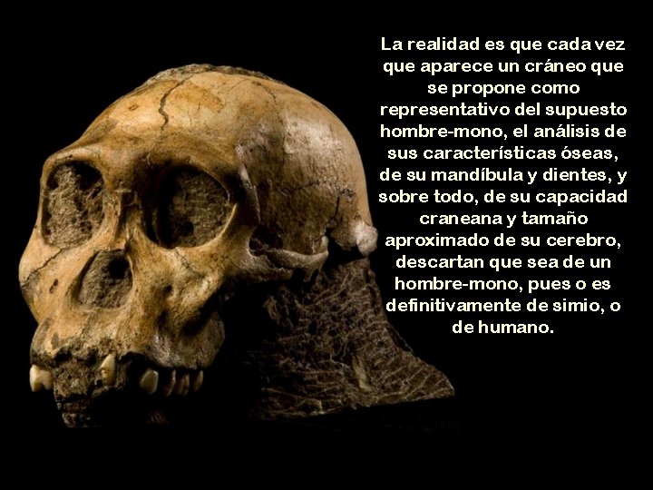 La realidad es que cada vez que aparece un cráneo que se propone como