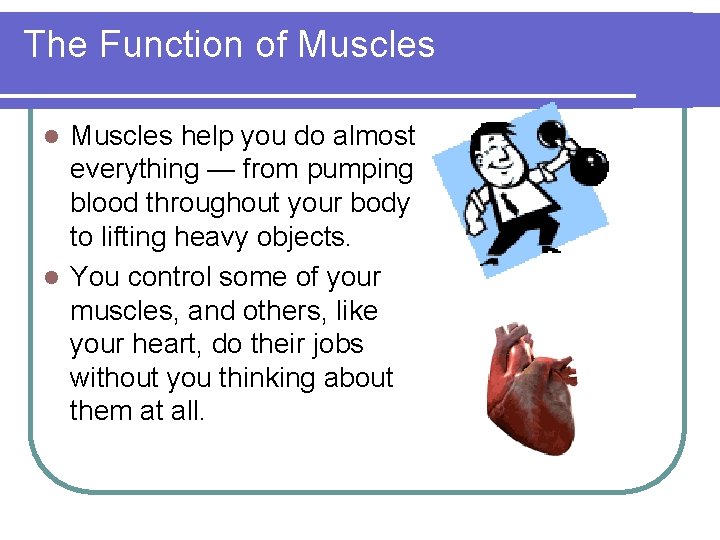 The Function of Muscles help you do almost everything — from pumping blood throughout