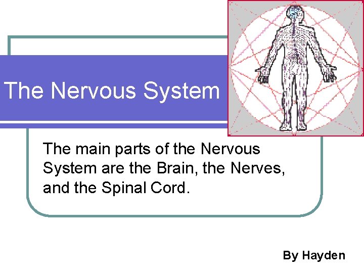 The Nervous System The main parts of the Nervous System are the Brain, the