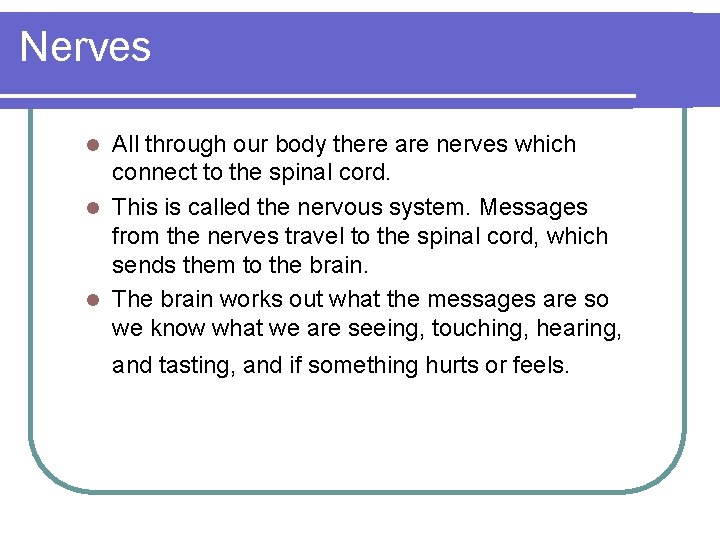 Nerves All through our body there are nerves which connect to the spinal cord.