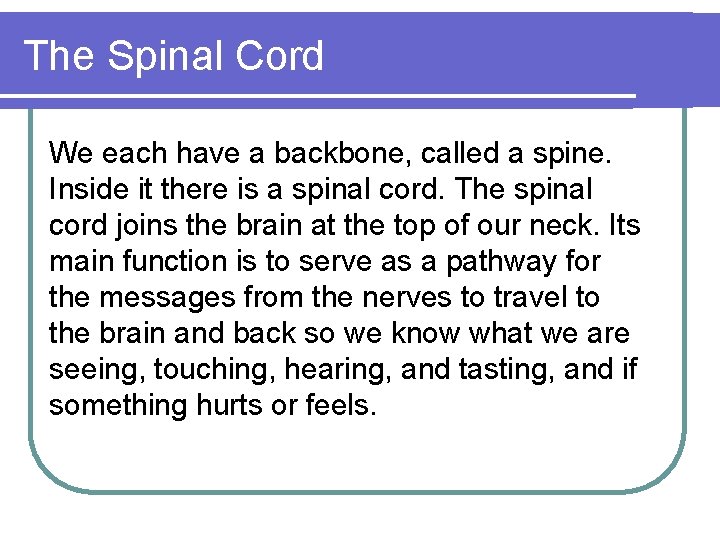 The Spinal Cord We each have a backbone, called a spine. Inside it there