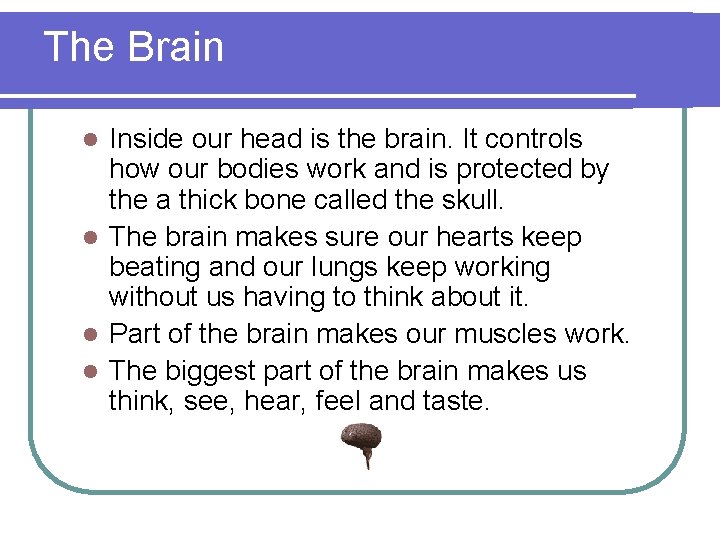 The Brain Inside our head is the brain. It controls how our bodies work