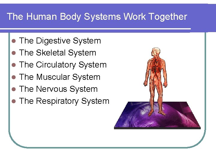 The Human Body Systems Work Together l l l The Digestive System The Skeletal