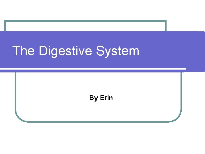 The Digestive System By Erin 