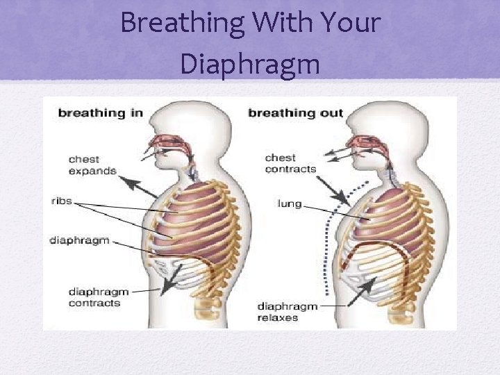 Breathing With Your Diaphragm 