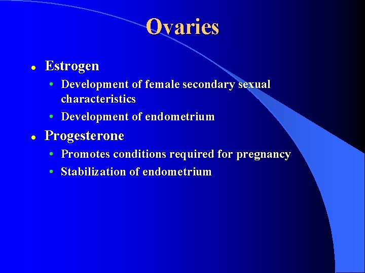 Ovaries l Estrogen • Development of female secondary sexual characteristics • Development of endometrium