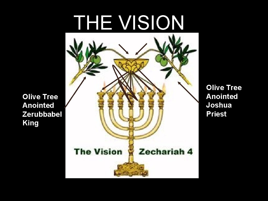 THE VISION Olive Tree Anointed Zerubbabel King Olive Tree Anointed Joshua Priest 