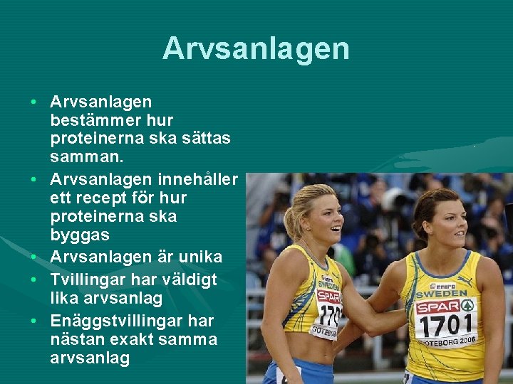 Arvsanlagen • Arvsanlagen bestämmer hur proteinerna ska sättas samman. • Arvsanlagen innehåller ett recept