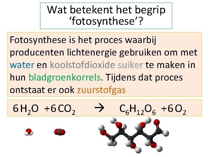 Wat betekent het begrip ‘fotosynthese’? Fotosynthese is het proces waarbij producenten lichtenergie gebruiken om