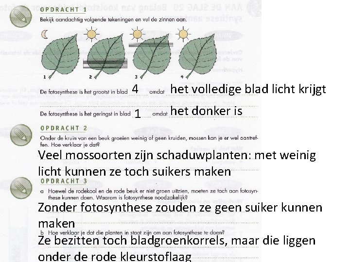 4 het volledige blad licht krijgt 1 het donker is Veel mossoorten zijn schaduwplanten:
