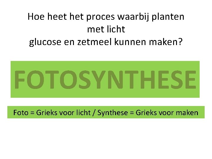 Hoe heet het proces waarbij planten met licht glucose en zetmeel kunnen maken? FOTOSYNTHESE