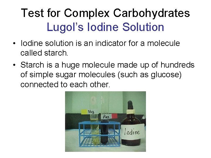 Test for Complex Carbohydrates Lugol’s Iodine Solution • Iodine solution is an indicator for