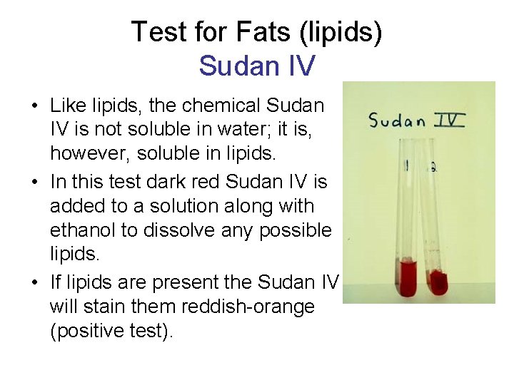 Test for Fats (lipids) Sudan IV • Like lipids, the chemical Sudan IV is