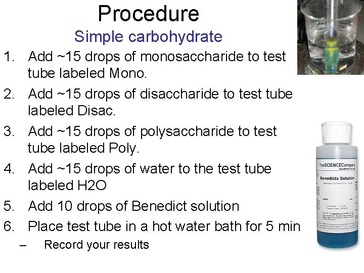 Procedure Simple carbohydrate 1. Add ~15 drops of monosaccharide to test tube labeled Mono.