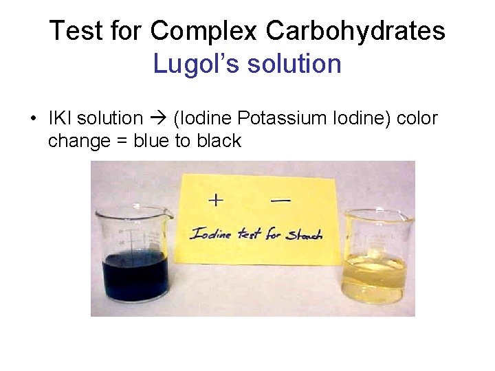 Test for Complex Carbohydrates Lugol’s solution • IKI solution (Iodine Potassium Iodine) color change