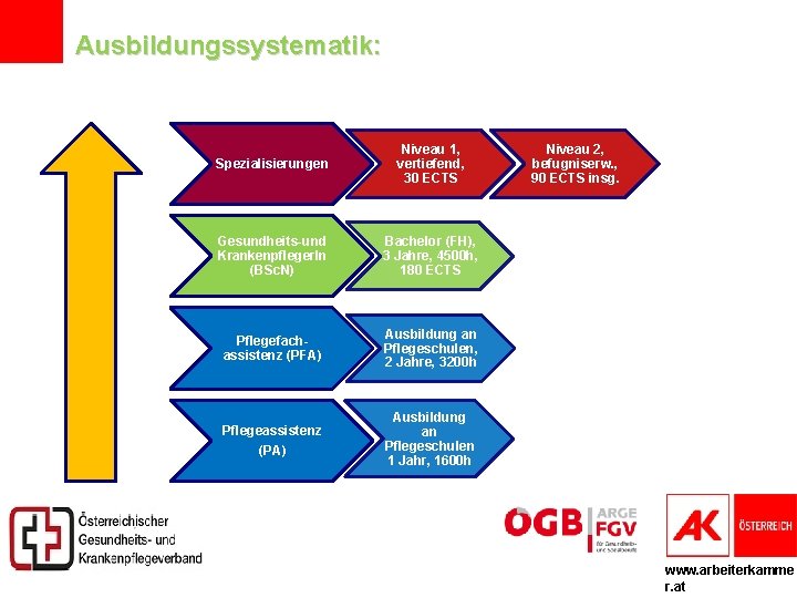 Ausbildungssystematik: Spezialisierungen Niveau 1, vertiefend, 30 ECTS Gesundheits-und Krankenpfleger. In (BSc. N) Bachelor (FH),