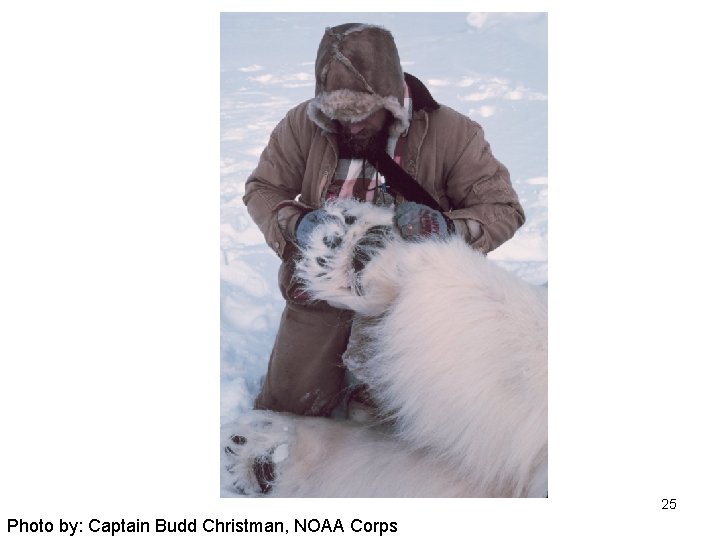 25 Photo by: Captain Budd Christman, NOAA Corps 