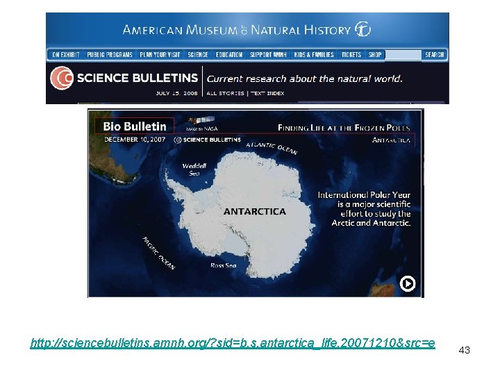 http: //sciencebulletins. amnh. org/? sid=b. s. antarctica_life. 20071210&src=e 43 