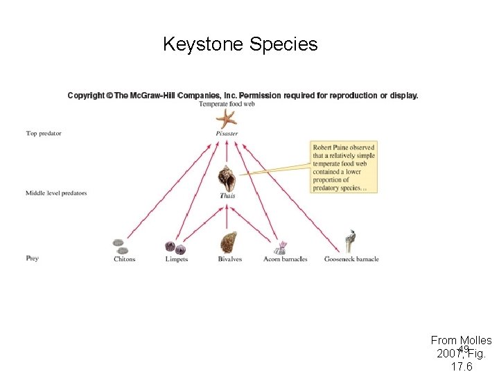Keystone Species From Molles 49 Fig. 2007, 17. 6 
