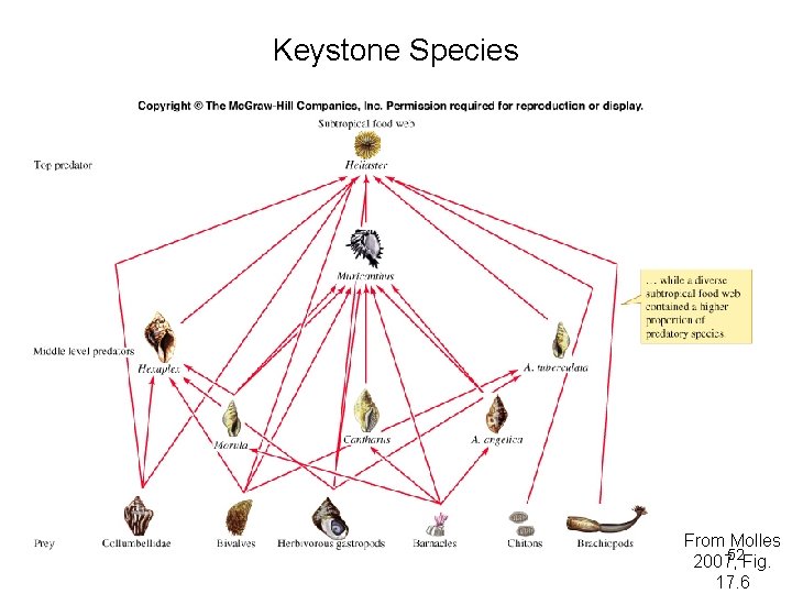 Keystone Species From Molles 52 Fig. 2007, 17. 6 