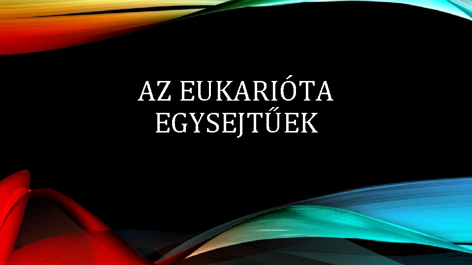 AZ EUKARIÓTA EGYSEJTŰEK 