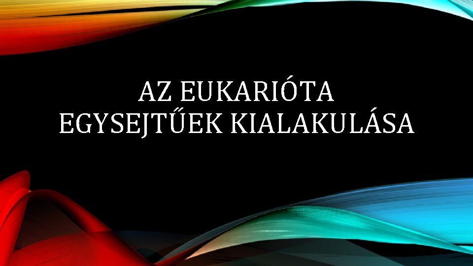 AZ EUKARIÓTA EGYSEJTŰEK KIALAKULÁSA 