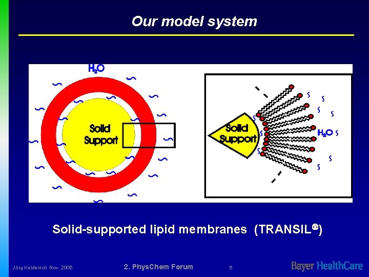 Our model system Solid-supported lipid membranes (TRANSIL ) Jörg Keldenich Nov. 2006 2. Phys.