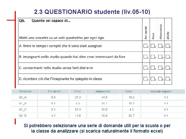 2. 3 QUESTIONARIO studente (liv. 05 -10) Si potrebbero selezionare una serie di domande