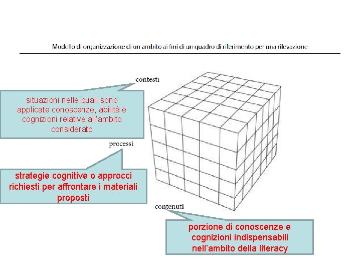 situazioni nelle quali sono applicate conoscenze, abilità e cognizioni relative all’ambito considerato strategie cognitive