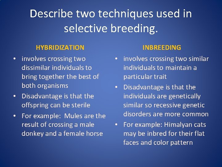 Describe two techniques used in selective breeding. HYBRIDIZATION INBREEDING • involves crossing two dissimilar