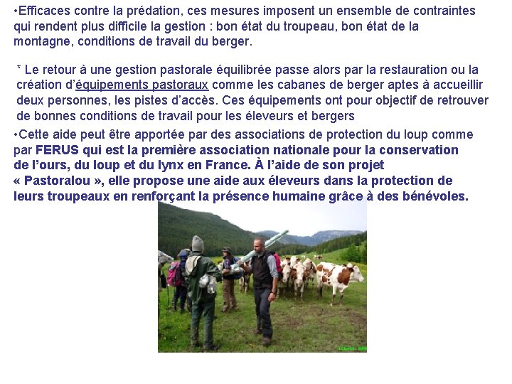  • Efficaces contre la prédation, ces mesures imposent un ensemble de contraintes qui