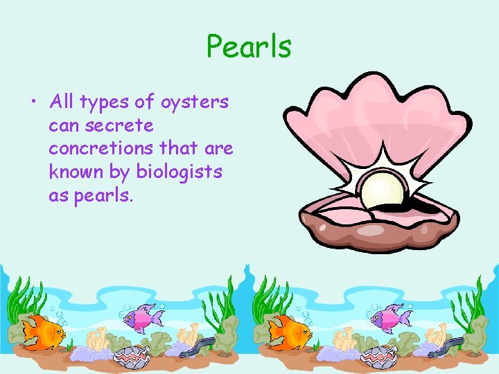 Pearls • All types of oysters can secrete concretions that are known by biologists