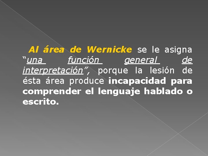 Al área de Wernicke se le asigna “una función general de interpretación”, porque la