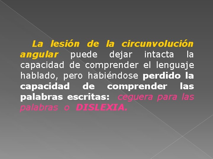 La lesión de la circunvolución angular puede dejar intacta la capacidad de comprender el