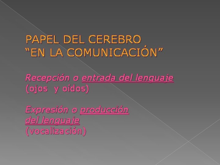 PAPEL DEL CEREBRO “EN LA COMUNICACIÓN” Recepción o entrada del lenguaje (ojos y oídos)