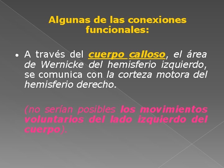 Algunas de las conexiones funcionales: • A través del cuerpo calloso, el área de