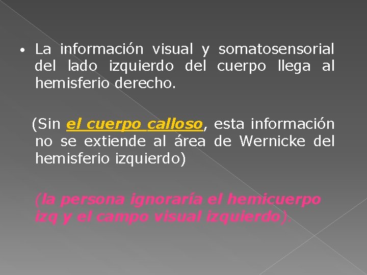  • La información visual y somatosensorial del lado izquierdo del cuerpo llega al