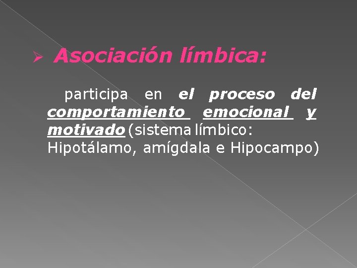 Ø Asociación límbica: participa en el proceso del comportamiento emocional y motivado (sistema límbico: