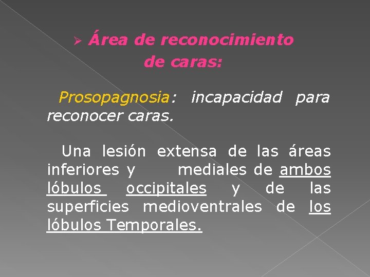 Ø Área de reconocimiento de caras: Prosopagnosia: incapacidad para reconocer caras. Una lesión extensa