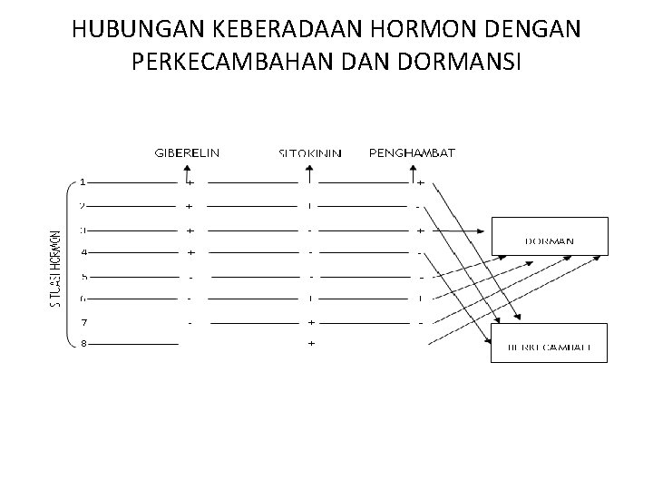 HUBUNGAN KEBERADAAN HORMON DENGAN PERKECAMBAHAN DORMANSI 