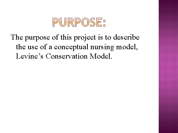 The purpose of this project is to describe the use of a conceptual nursing