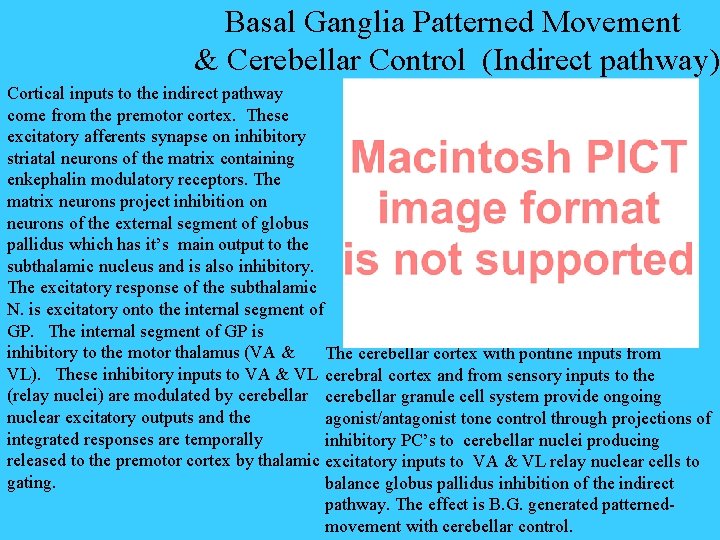 Basal Ganglia Patterned Movement & Cerebellar Control (Indirect pathway) Cortical inputs to the indirect