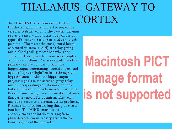 THALAMUS: GATEWAY TO CORTEX The THALAMUS has four distinct relay functional regions that project