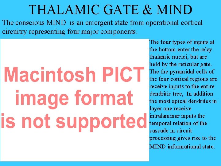 THALAMIC GATE & MIND The conscious MIND is an emergent state from operational cortical