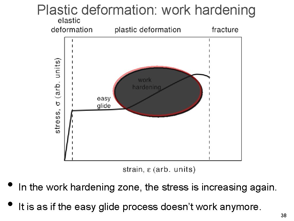 Plastic deformation: work hardening • In the work hardening zone, the stress is increasing