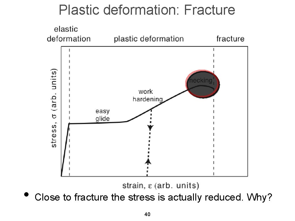 Plastic deformation: Fracture • Close to fracture the stress is actually reduced. Why? 40