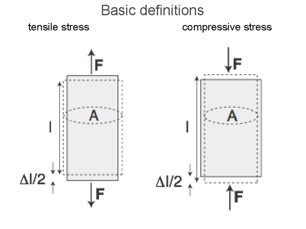 Basic definitions tensile stress compressive stress 