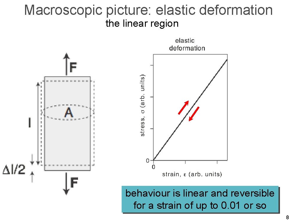 Macroscopic picture: elastic deformation the linear region behaviour is linear and reversible for a